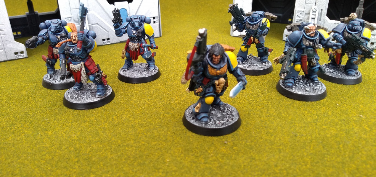 Primaris Space Wolves 2