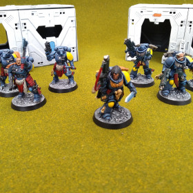 Primaris Space Wolves 2