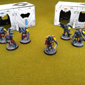 Primaris Space Wolves