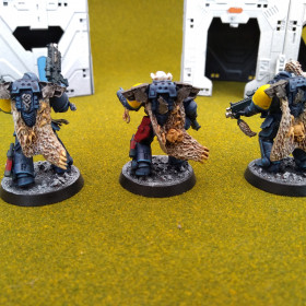 Primaris Space Wolf Intercessors Back